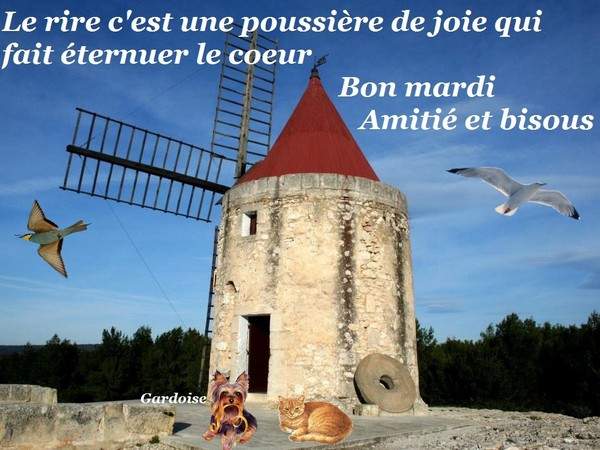 Mardi 25 Fvrier : Ephemeride, Dicton, citation, Mto du jour