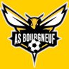 logo du club AMICALE SPORTIVE LE BOURGNEUF LA FORET