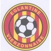 logo du club EGLANTINE VIERZON FOOTBALL