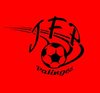 logo du club JF PALINGES