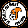 logo du club SPORTING CLUB SAINT PIERRE DU MONT