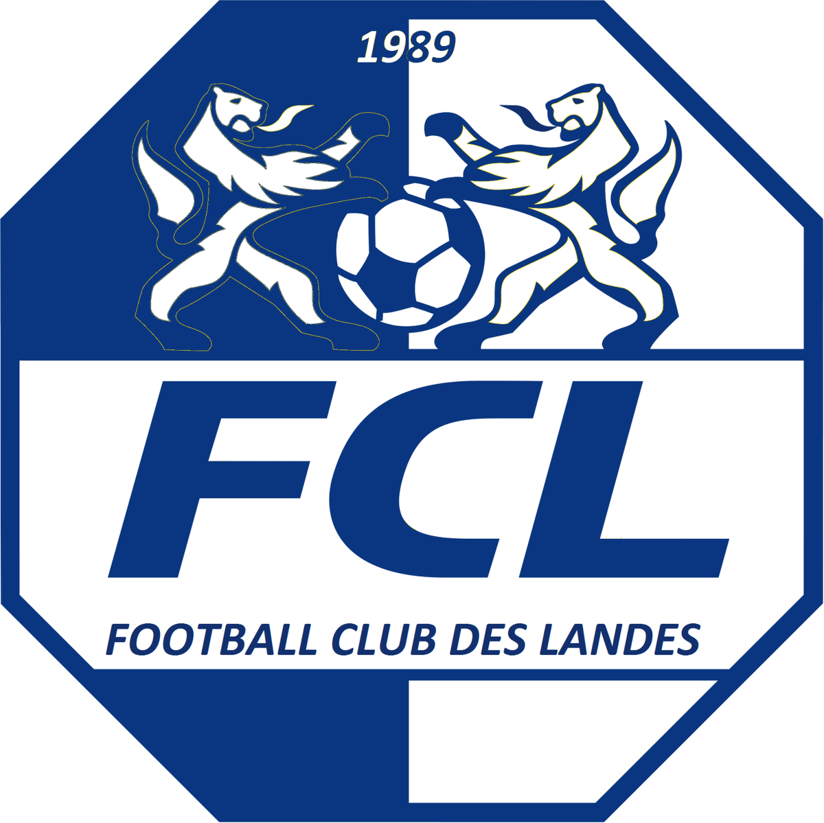 district des landes de football