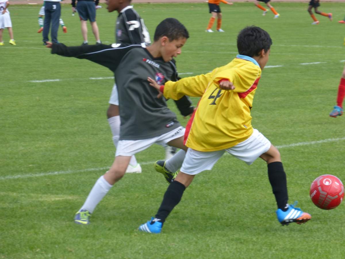 Album - Tournois 2014 - Photo N°11 - club Football SEP FOOTBALL - Footeo