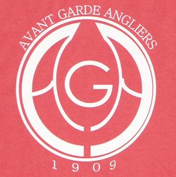 logo du club AVANT GARDE D'ANGLIERS