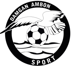 logo du club DAMGAN AMBON SPORT
