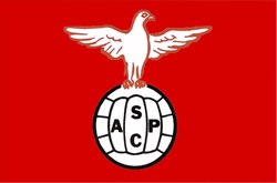 logo du club ASSOCIATION SPORTIVE DES PORTUGAIS DE CHATELLERAULT