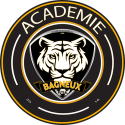 logo du club BAGNEUX FUTSAL ACADEMIE