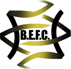 logo du club Bordeaux Elite Football Club