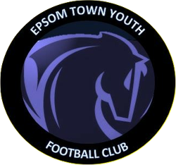 logo du club Epsom Town Youth FC 