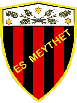 logo du club Etoile Sportive de Meythet