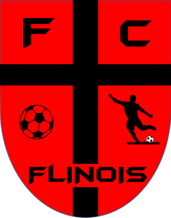 logo du club FOOTBALL CLUB FLINOIS