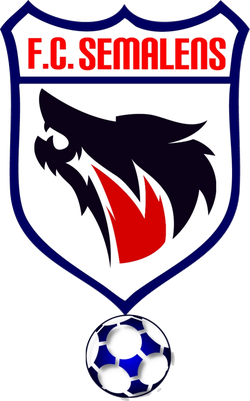 logo du club Football Club Sémalens