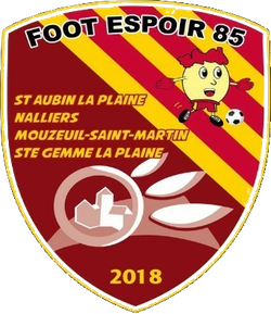 logo du club FOOT ESPOIR 85