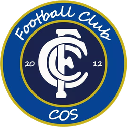 logo du club Football club cos