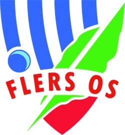 logo du club VDA FLERS OS