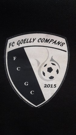 logo du club goellycompans u19