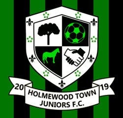 logo du club Holmewood Town FC