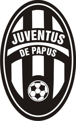logo du club LA JUVENTUS DE PAPUS