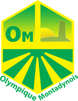 logo du club OLYMPIQUE MONTADYNOIS