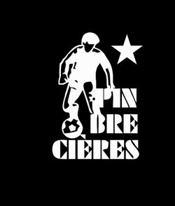 logo du club ENTENTE SPORTIVE PINBRECIERES