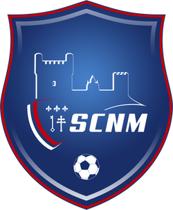 logo du club SPORTING CLUB NARBONNE MONTPLAISIR