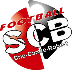logo du club SC BRIARD