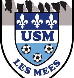 logo du club Union Sportive MEENNE