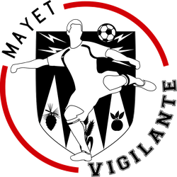 logo du club VIGILANTE FOOTBALL MAYET