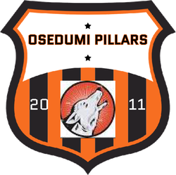 logo du club Young pillars of osedumi