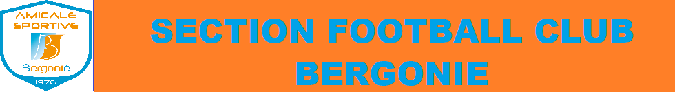 Section Football Club Bergonié : site officiel du club de foot de Bordeaux - footeo