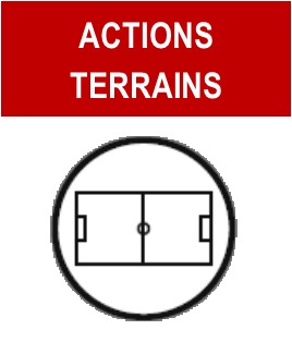 TER1.jpg