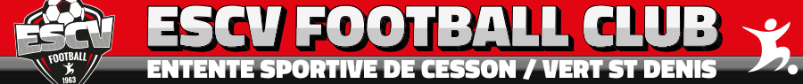 ES Cesson Vert St Denis CDM : site officiel du club de foot de CESSON - footeo