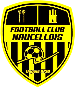 Equipe - FCN III - D5 POINT VERT - club Football Football Club ...