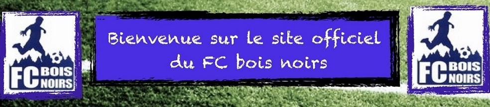 Football Club des Bois Noirs : site officiel du club de foot de ST ROMAIN D URFE - footeo