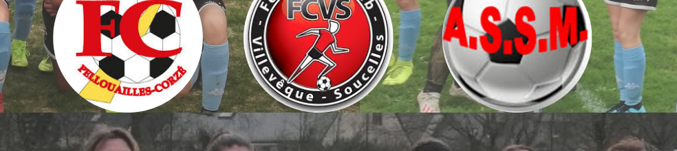 PSV du Loir : site officiel du club de foot de VILEVEQUE - footeo