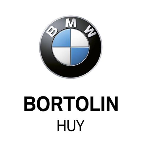 Logo_BMW_Bortolin.jpg