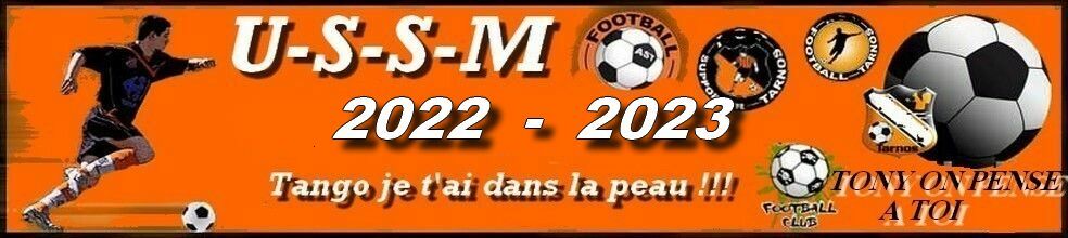 Union Sportive San Martinoise ( USSM ) : site officiel du club de foot de ST MARTIN EN BRESSE - footeo